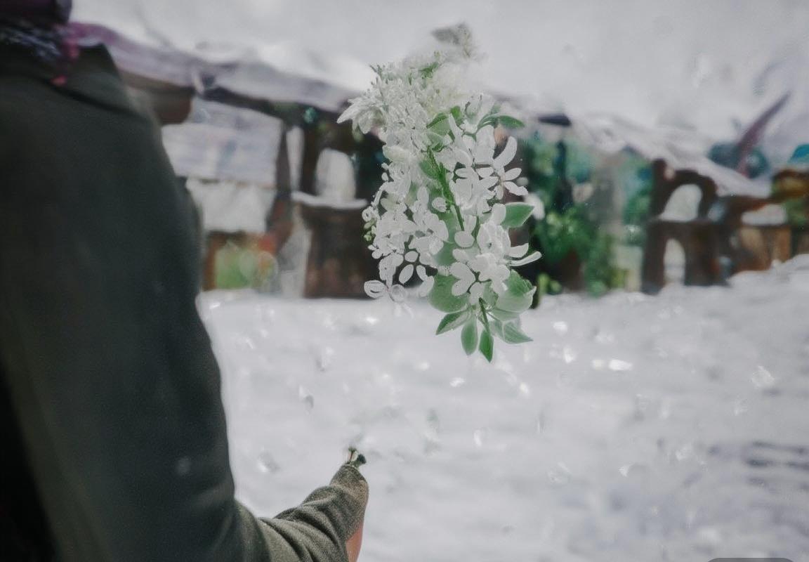 拜仁利物浦欧冠对决：火花岁月的经典瞬间(图4)